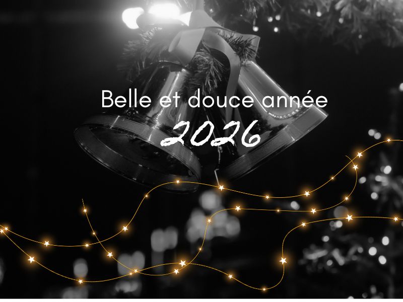 Voeux 2026 de l'agence Driv'in Belle-Île